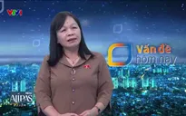 Vấn đề hôm nay - 20/11/2024