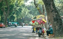 Thời tiết ngày 22/11: Bắc Bộ và Thủ đô Hà Nội nắng hanh, miền Trung mưa lớn
