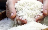 Giá gạo Nhật Bản đạt mức cao kỷ lục