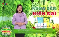 Nông dân hiện đại: Thiết lập, giám sát mã số vùng trồng