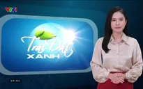 Trái đất xanh - 21/11/2024