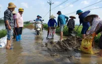 Hà Nội: Công bố tình huống khẩn cấp sạt lở đê tại Chương Mỹ