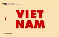 Hello Vietnam - 22/11/2024