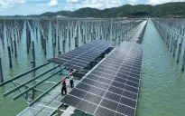 Thúc đẩy năng lượng tái tạo: Câu chuyện truyền cảm hứng từ Trung Quốc