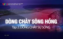 Những mảnh ghép của cuộc sống: Dòng chảy sông Hồng - Tập 2