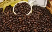 Cà phê xác lập đỉnh giá chưa từng có