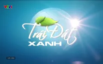 Trái đất xanh - 30/11/2024