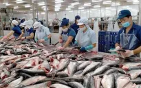 Doanh nghiệp xuất khẩu thuỷ sản tìm kiếm thị trường mới