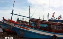 Bình Định: Tàu cá bị hỏng máy, thả trôi trên biển
