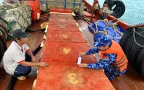 Bắt giữ tàu cá vận chuyển 50 nghìn lít dầu DO không rõ nguồn gốc trên biển