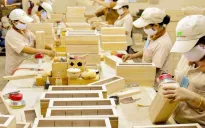 Xuất khẩu gỗ dự kiến thu về 16 tỷ USD