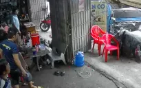Xe tải húc gãy trụ đèn giao thông, tông nhiều xe máy