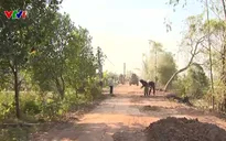 Hàng trăm hộ dân hiến đất, góp kinh phí xây đường nông thôn mới