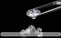 Cùng người Việt chạm tay vào giấc mơ Kim cương