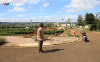 Đắk Lắk: Người dân chờ đợi thực thi bản án đã có hiệu lực thi hành