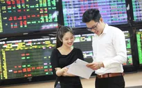 Kinh nghiệm đầu tư cổ phiếu "ngách"