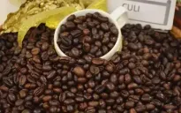 Xuất khẩu cà phê lần đầu có thể vượt 5 tỷ USD