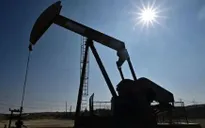 OPEC hạ dự báo nhu cầu dầu toàn cầu