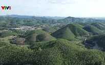 Ứng dụng công nghệ trong quản lý và bảo vệ rừng