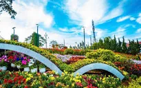 Biểu diễn âm nhạc miễn phí trên tàu Đà Lạt - Trại Mát