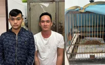 Nam thanh niên ngang nhiên vào nhà dân cướp lồng chim chào mào