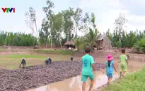Trà Vinh: Về Cồn Chim sống thuận thiên