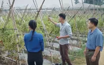 Không thời gian - Tập 14: Đại gặp rắc rối