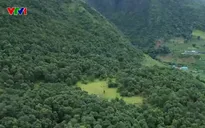 Phát triển du lịch sinh thái kết hợp với giữ rừng