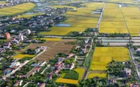 Kiến nghị tiếp tục miễn thuế sử dụng đất nông nghiệp