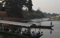 Thái Lan khẩn trương ứng phó với dịch tả bùng phát từ Myanmar