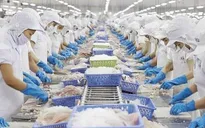 Xuất khẩu thuỷ sản về đích ấn tượng với 10 tỷ USD