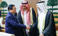 Saudi Arabia, UAE, Qatar hết sức coi trọng hợp tác với Việt Nam