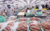 Việt Nam đứng thứ 3 thế giới về xuất khẩu thủy sản