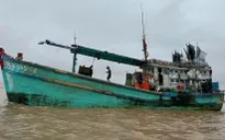 Ứng cứu 5 thuyền viên chìm tàu, trôi dạt hơn 7 giờ trên biển