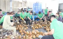 Nhiều giải pháp nâng tầm nông sản Việt