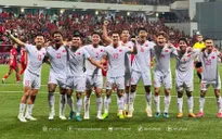 ĐT Việt Nam áp đảo Đội hình tiêu biểu bán kết ASEAN Cup 2024