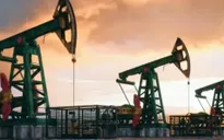 Giá dầu phục hồi trở lại sau lao dốc