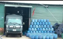 Vụ giá đỗ "ngậm" chất cấm: UBND tỉnh Đắk Lắk chỉ đạo khẩn