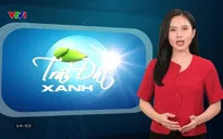 Trái đất xanh - 31/12/2024