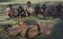 Đồng Nai: Triệt phá một tụ điểm đá gà ăn tiền