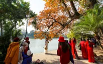 Bắc Bộ sáng và đêm trời rét, ngày nắng hanh