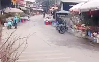 Đào Tết sớm vắng khách