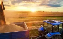 Cường quốc nông nghiệp bội thu xuất khẩu ngũ cốc