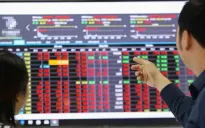318 cổ phiếu giảm giá, VN-Index mất mốc 1.250 điểm