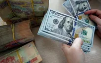 Tỷ giá USD tăng hơn 5% trong năm 2024