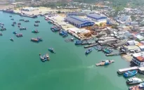 Nghiêm túc xử lý vi phạm khai thác thủy sản