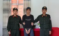 Bình Thuận: Tạm giam người làm vườn lấy trộm gỗ quý