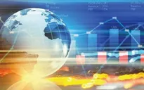 Liên Hợp Quốc: Tăng trưởng kinh tế thế giới ở mức 2,8% vào năm 2025