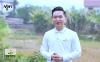 Cặp lá yêu thương - 11/01/2025