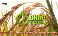 Chào buổi sáng - 12/01/2025